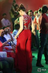 Bengal Tiger Movie Triple Platinum Disc Function